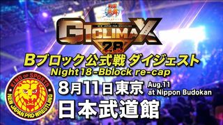 【G1 CLIMAX 28】8.11日本武道館【Bブロックダイジェスト】