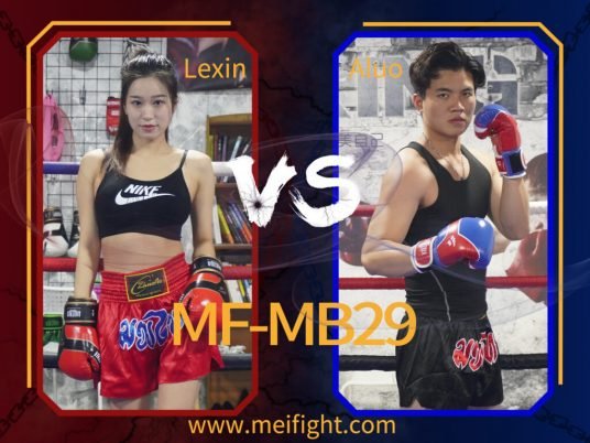 MF-MB29 Mixed boxing