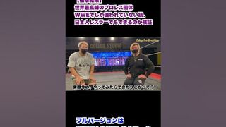 【衝撃結果】世界最大のプロレス団体WWEでしか使われていない技、日本人でもできるのか