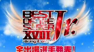 BEST OF THE SUPER Jr. XVIII ENTRY FIGHTERS