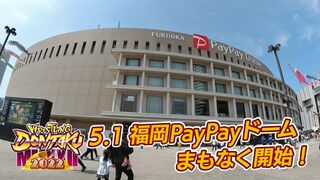 【開始直前！】5.1福岡PayPayドーム WRESTLING DONTAKU 2022【新日本プロレス】
